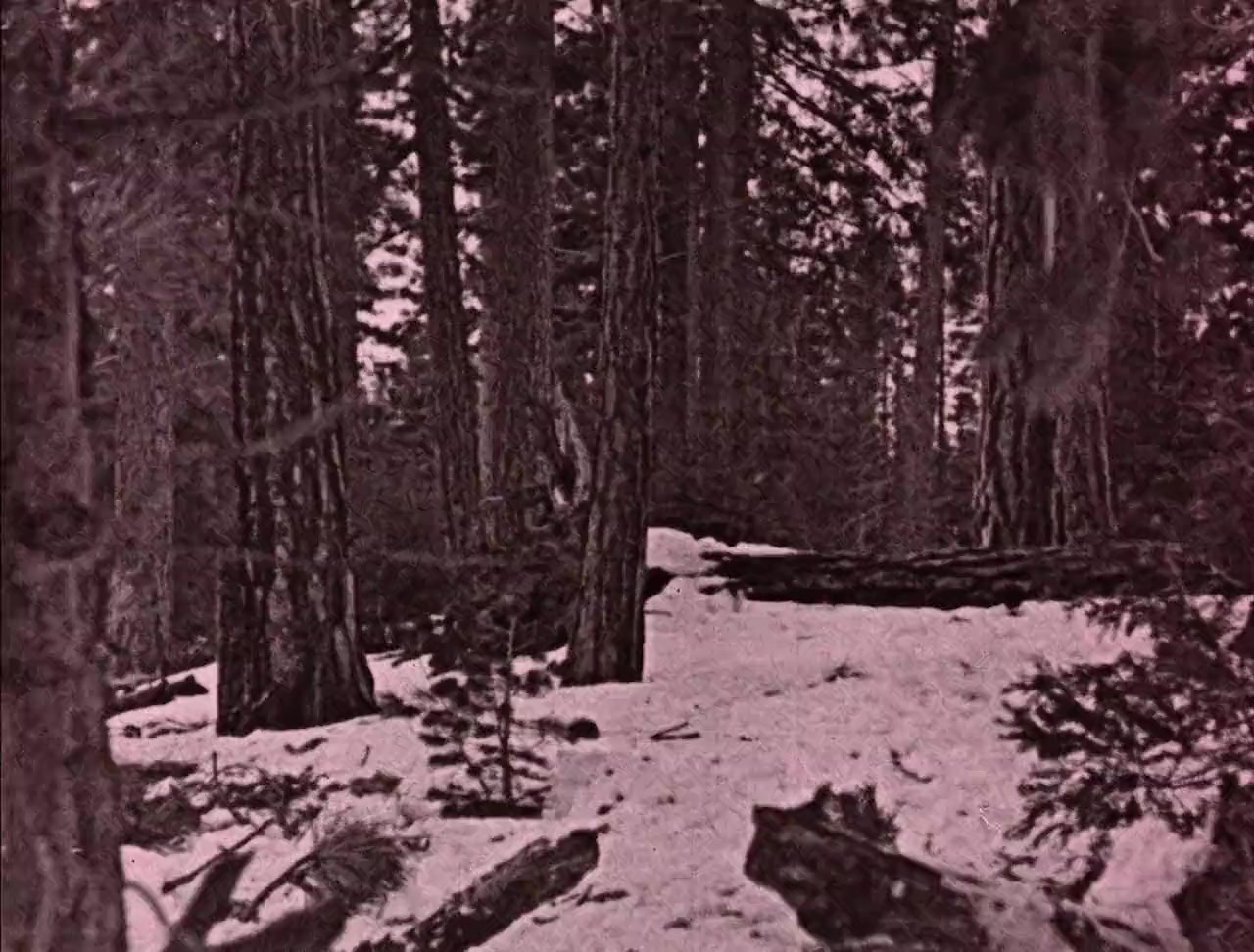 Where the North Begins screenshot 3
