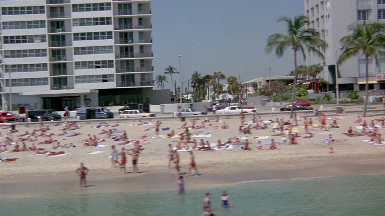 Where the Boys Are screenshot 1
