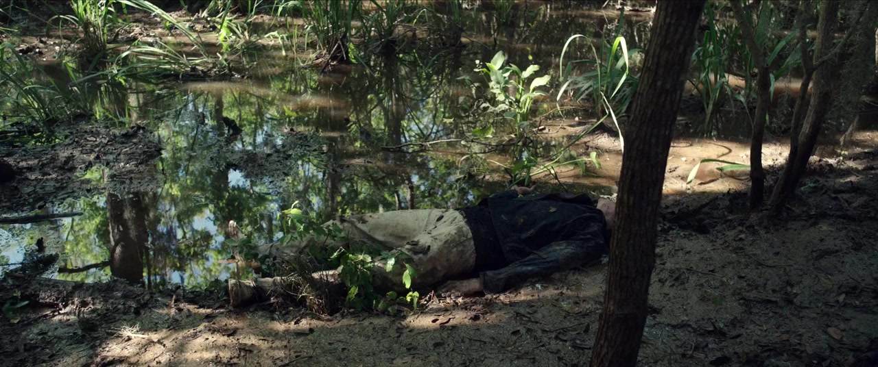 Where the Crawdads Sing screenshot 1