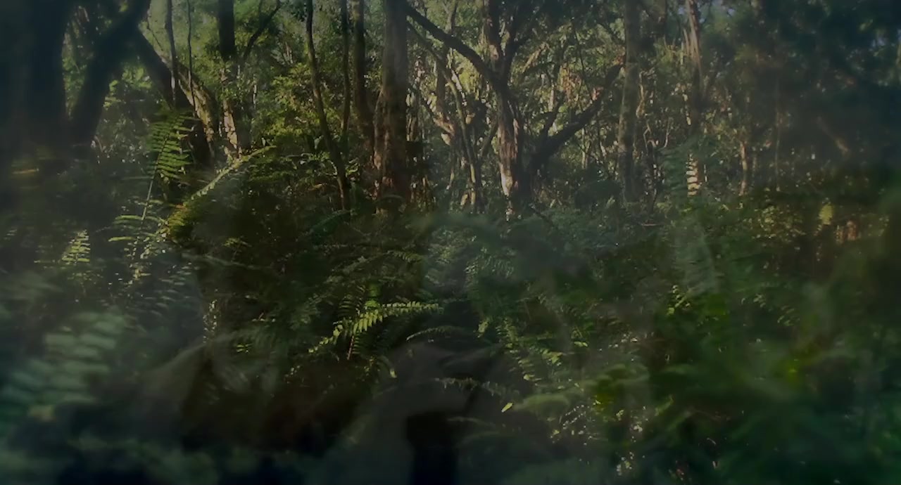Where the Road Runs Out screenshot 3