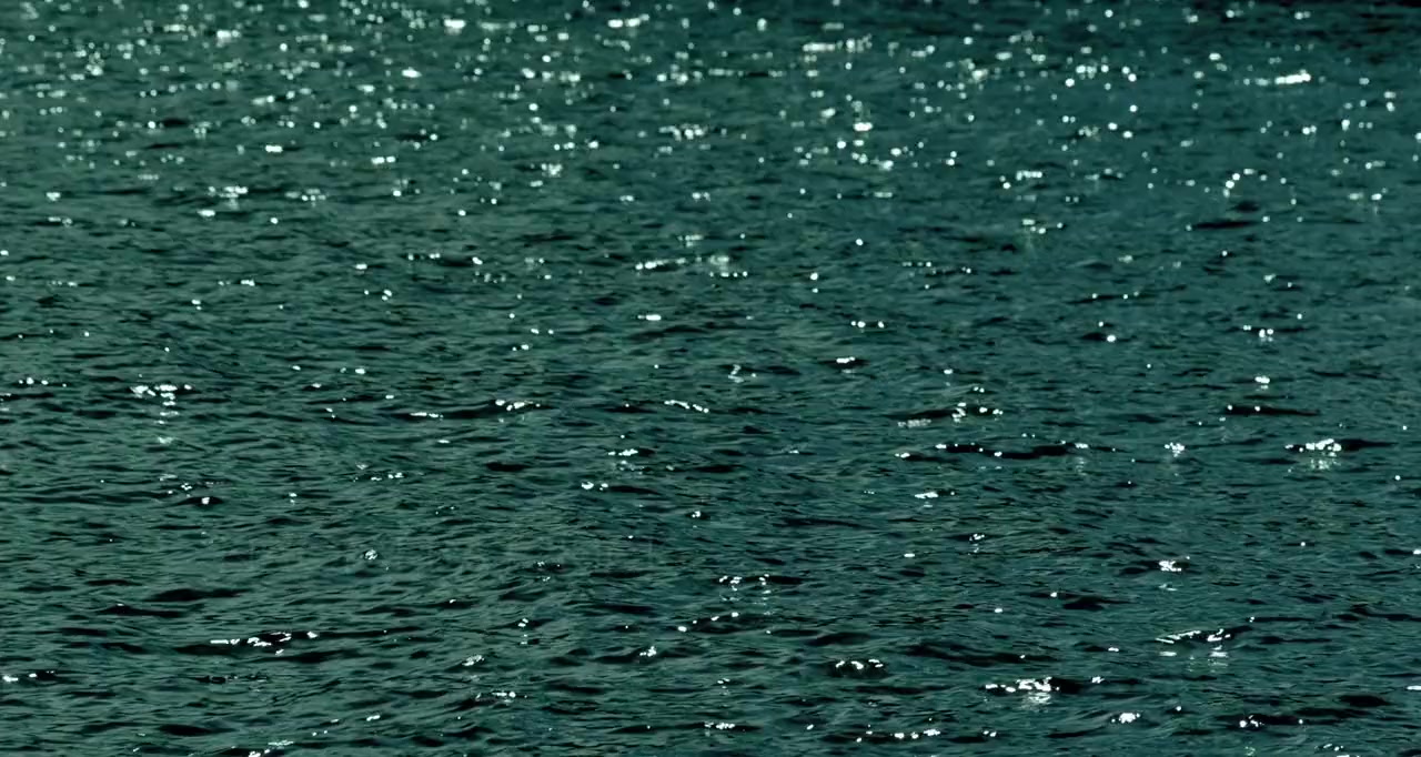 Whisky Galore! screenshot 1