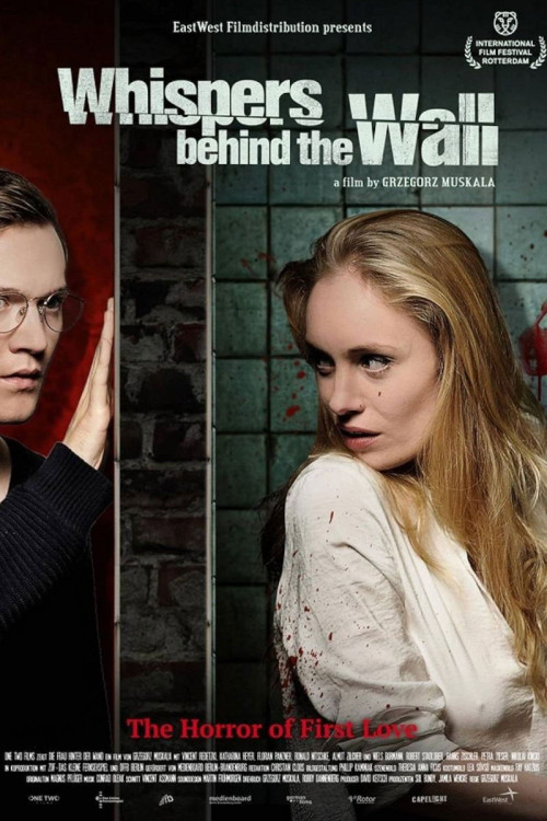 Die Frau hinter der Wand (2013) poster