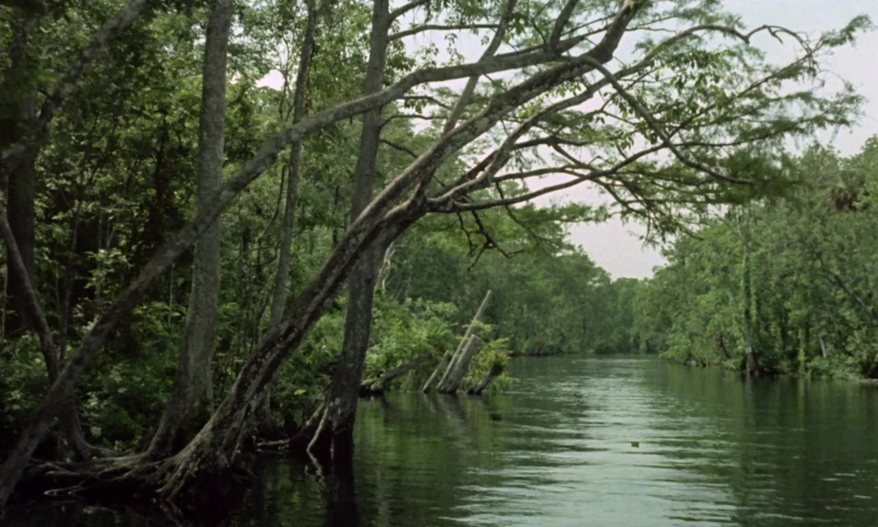 Mondo cannibale screenshot 1