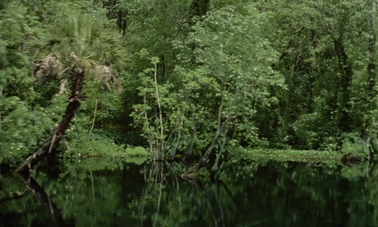 Mondo cannibale screenshot 2