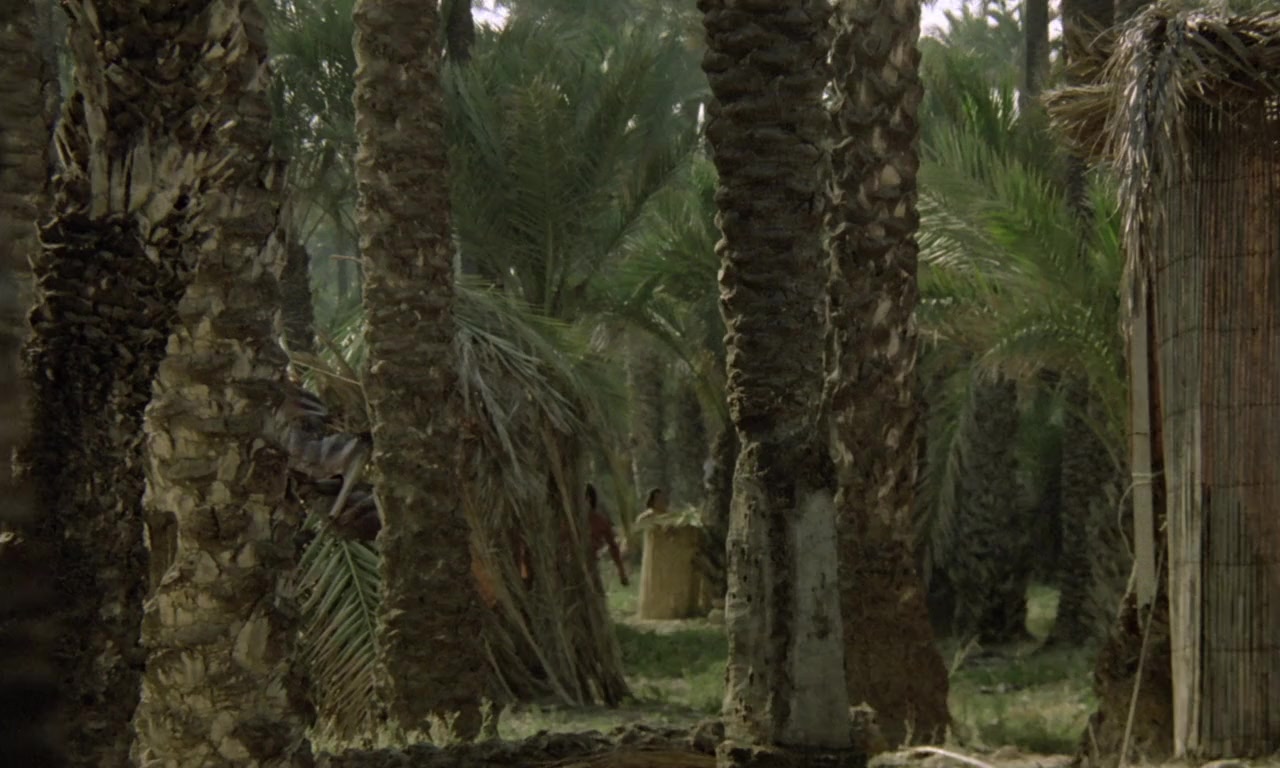 Mondo cannibale screenshot 3