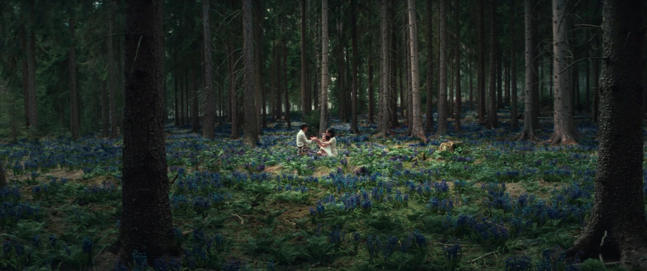 White Bird screenshot 1