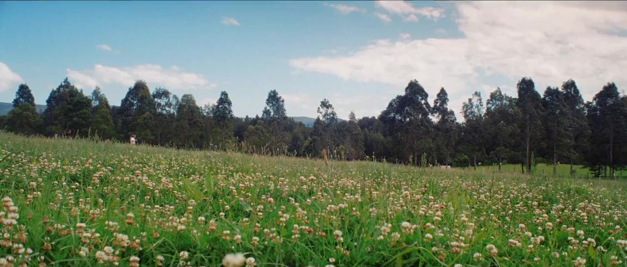 White Blood screenshot 1
