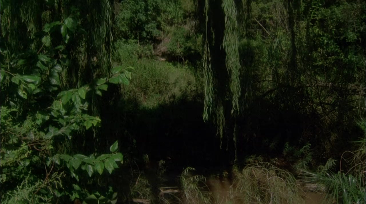 White Ghost screenshot 1