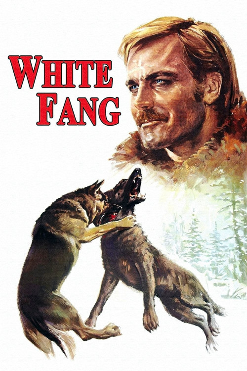 Zanna Bianca (1973) poster