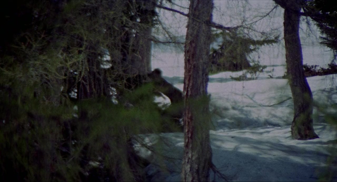 Zanna Bianca screenshot 1