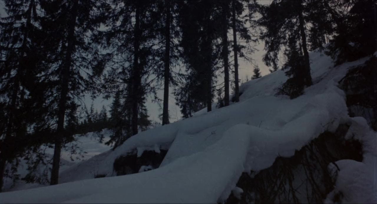 Zanna Bianca screenshot 2