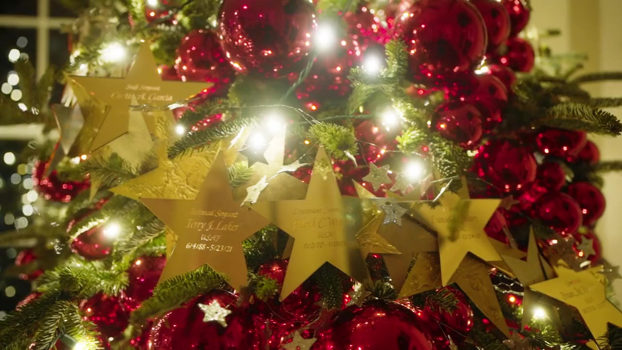 White House Christmas 2021 screenshot 1