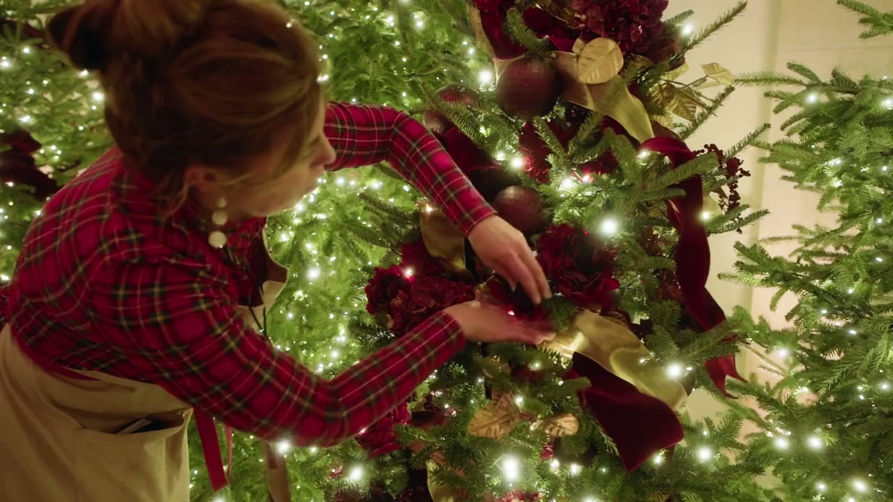 White House Christmas 2025 screenshot 3