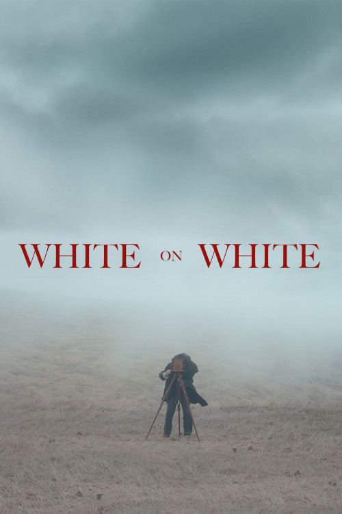 Blanco en Blanco (2019) poster