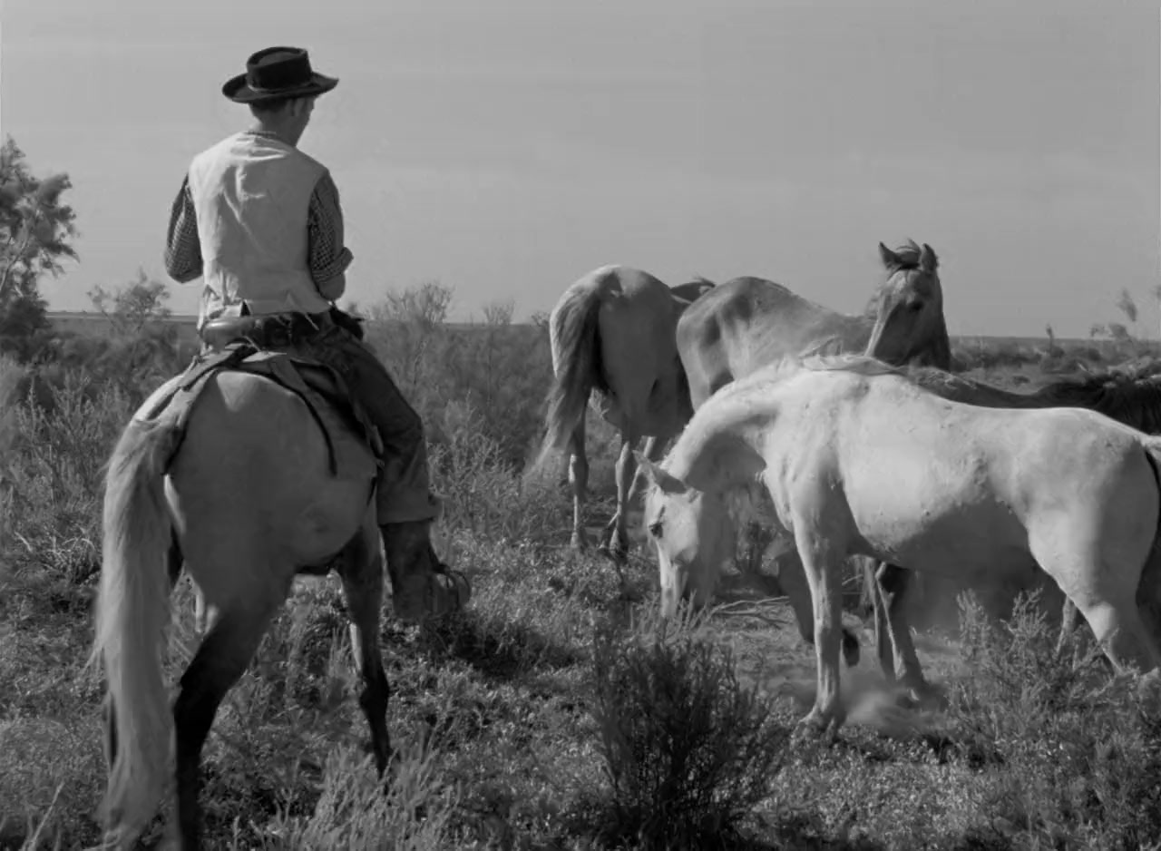 Crin blanc : le cheval sauvage screenshot 3