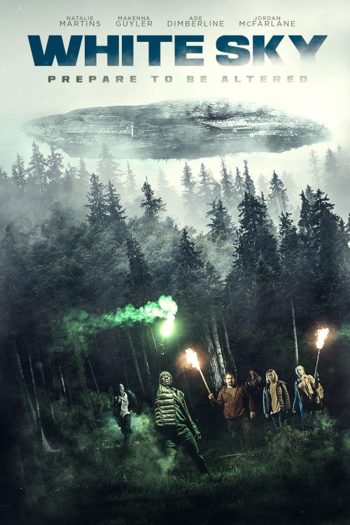 White Sky (2021) poster