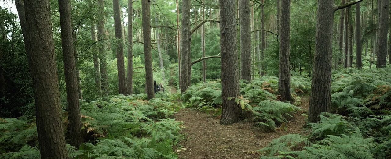 White Sky screenshot 1