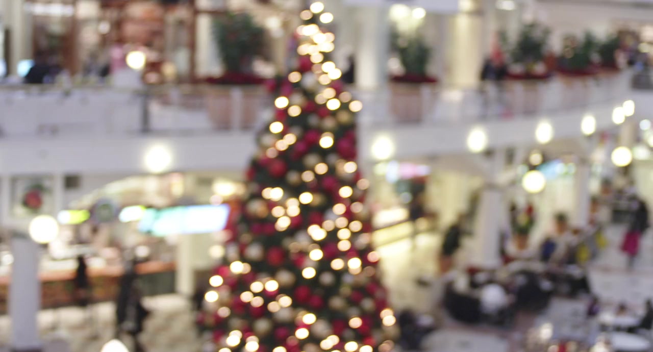 White Reindeer screenshot 3