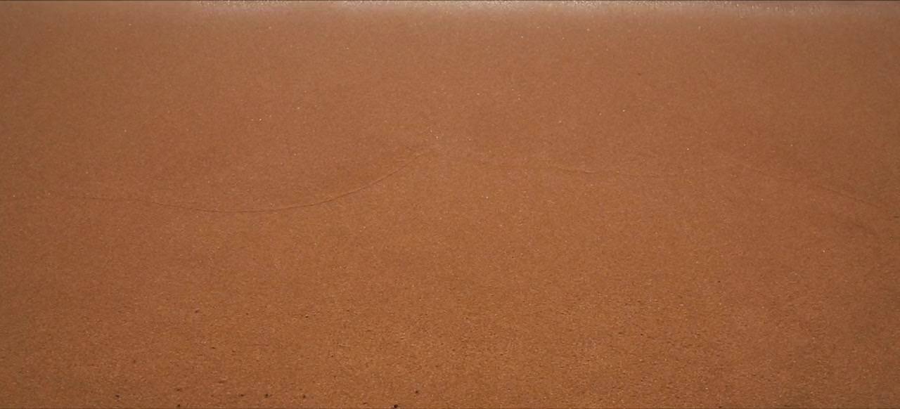 White Rhino screenshot 2