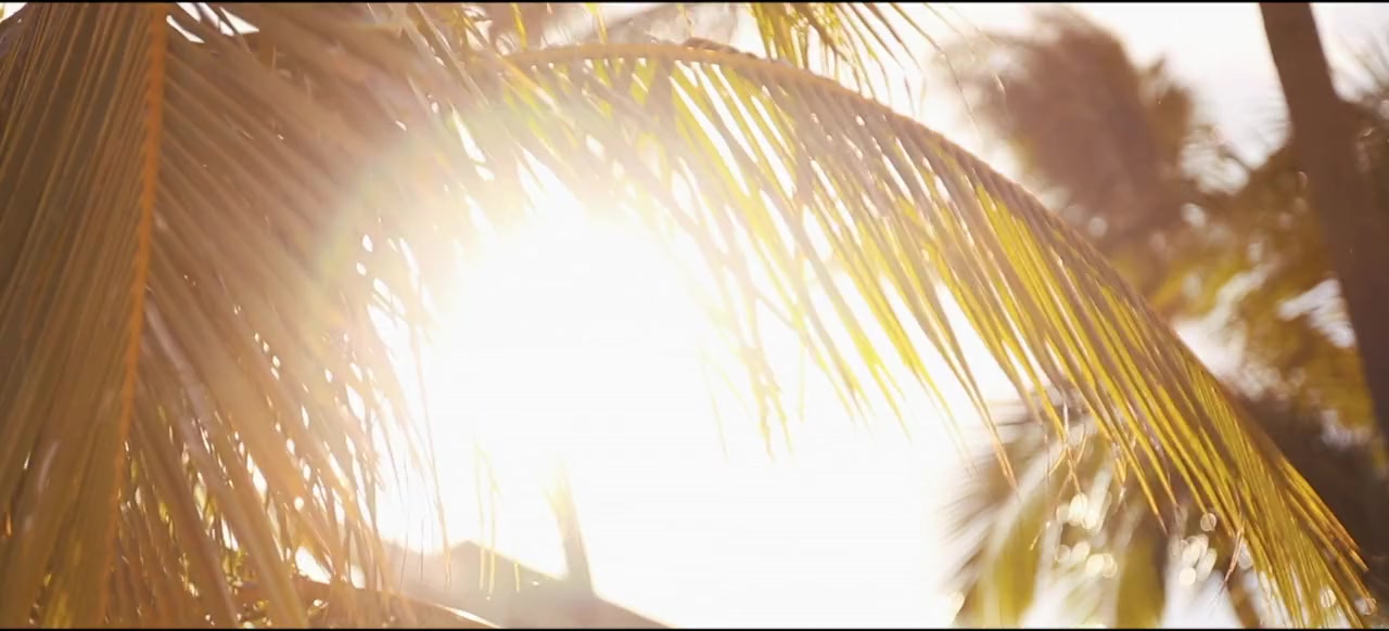 White Rhino screenshot 3