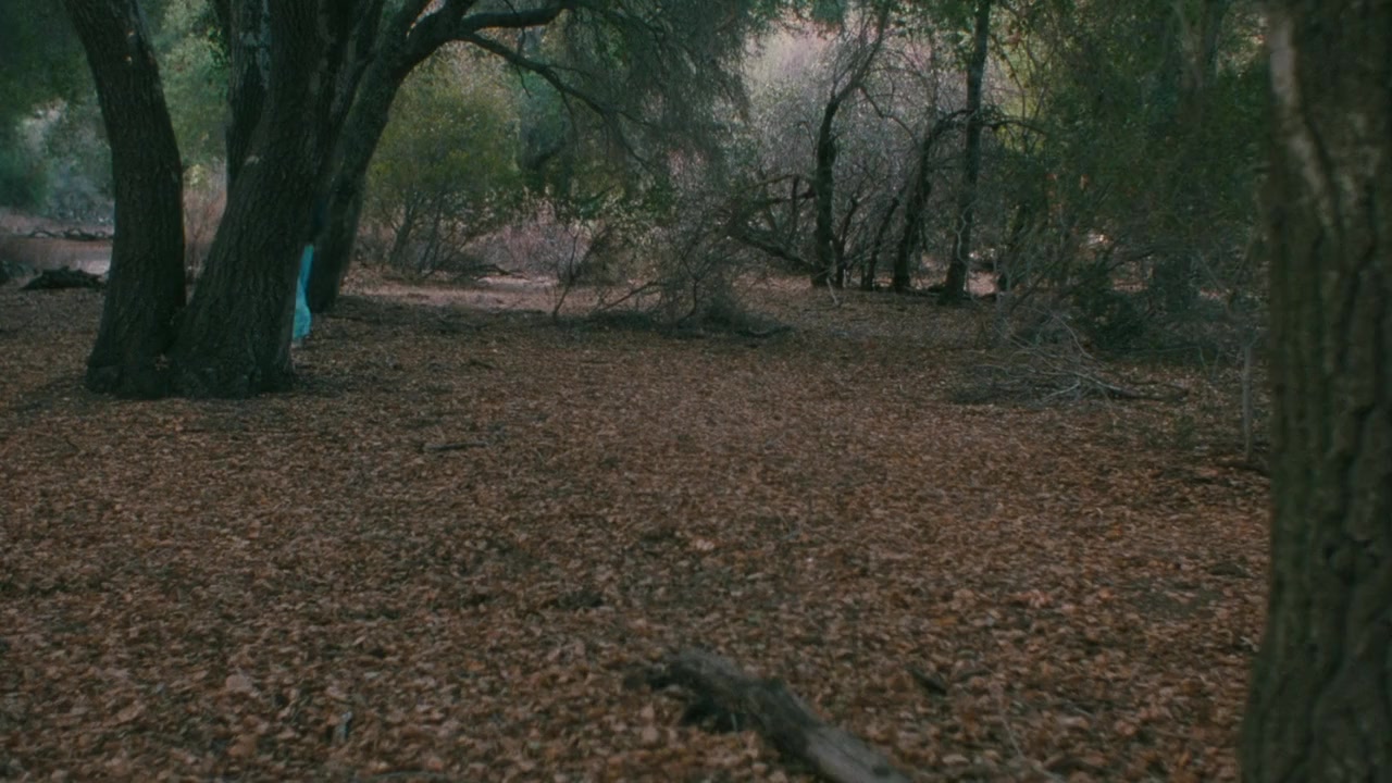 White Rush screenshot 1