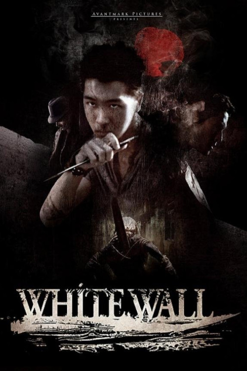 White Wall (2010) poster