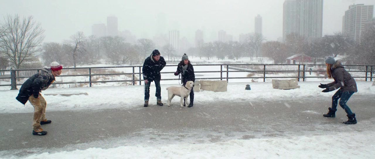 Who Gets the Dog? screenshot 1