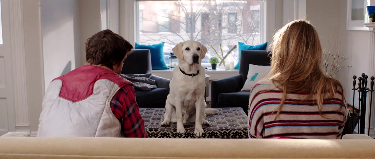 Who Gets the Dog? screenshot 2