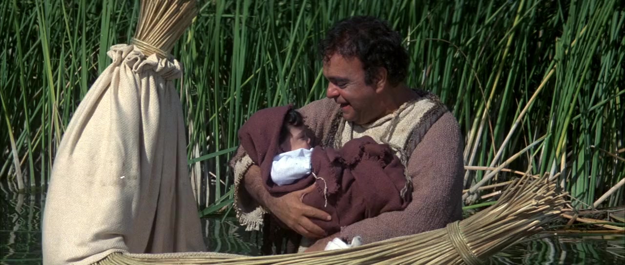 Wholly Moses! screenshot 2