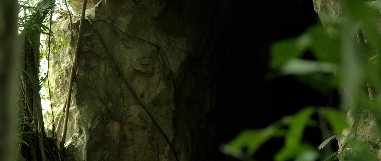 Who's Watching Oliver screenshot 3