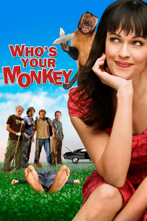 Throwing Stars (2007) poster