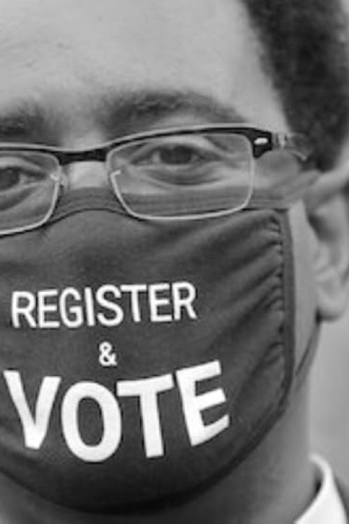 Whose Vote Counts (2020) poster
