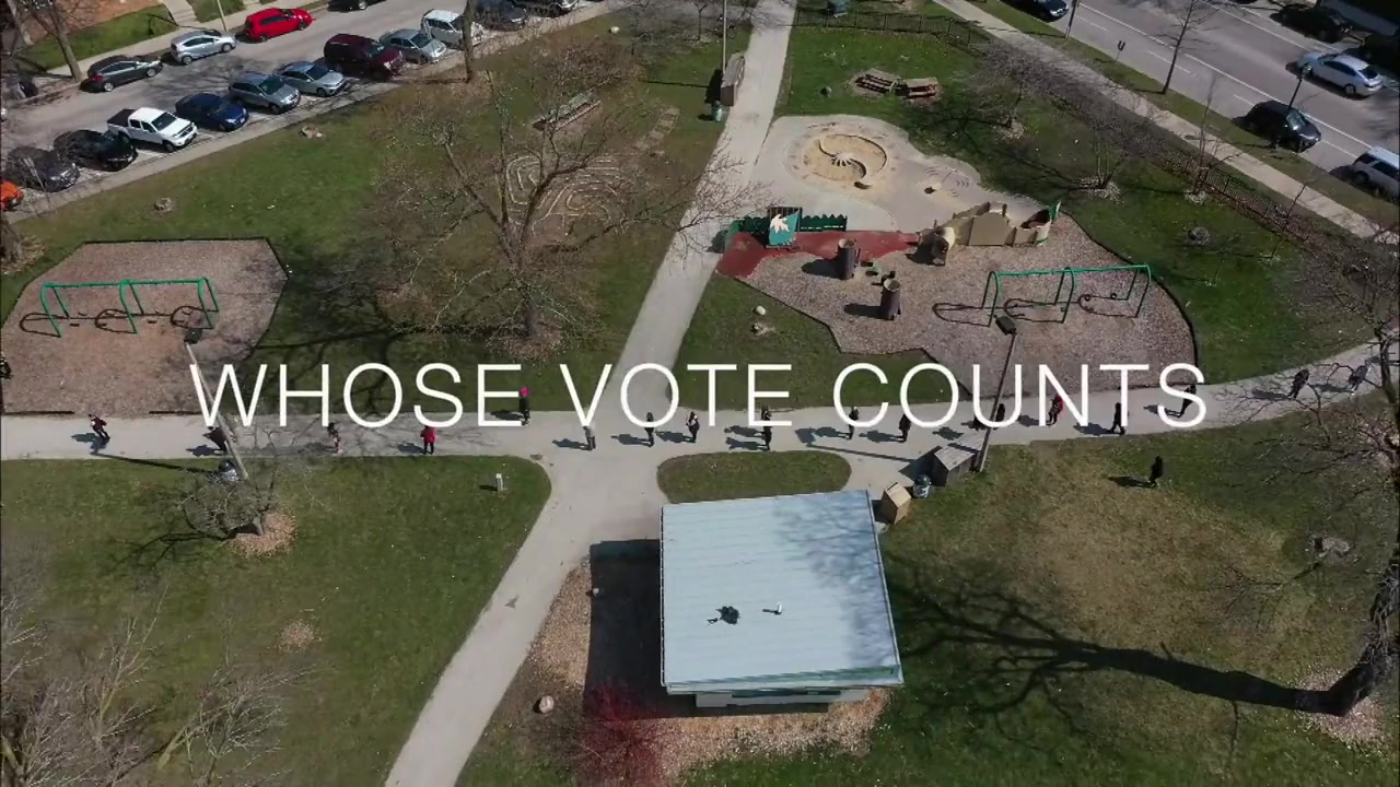 Whose Vote Counts screenshot 1