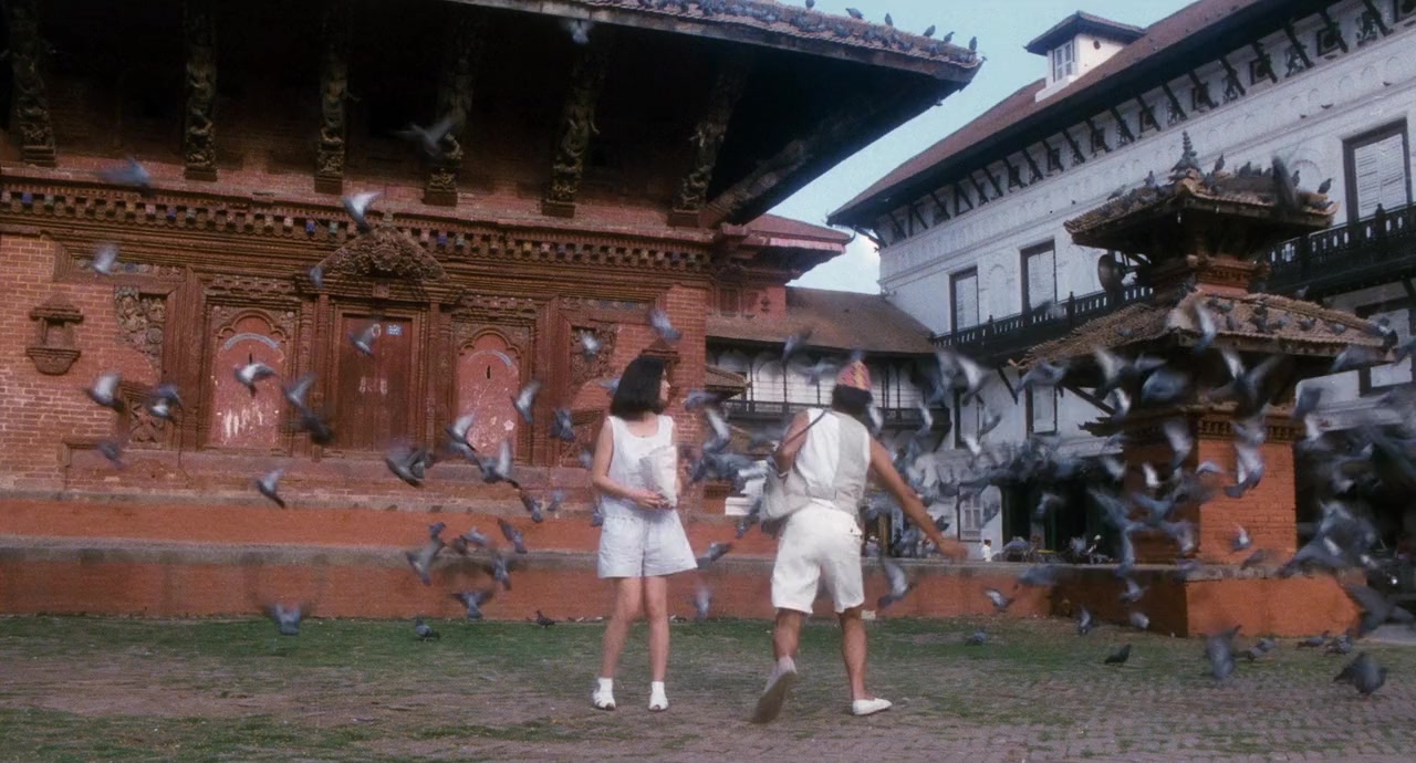 Qi yuan screenshot 1