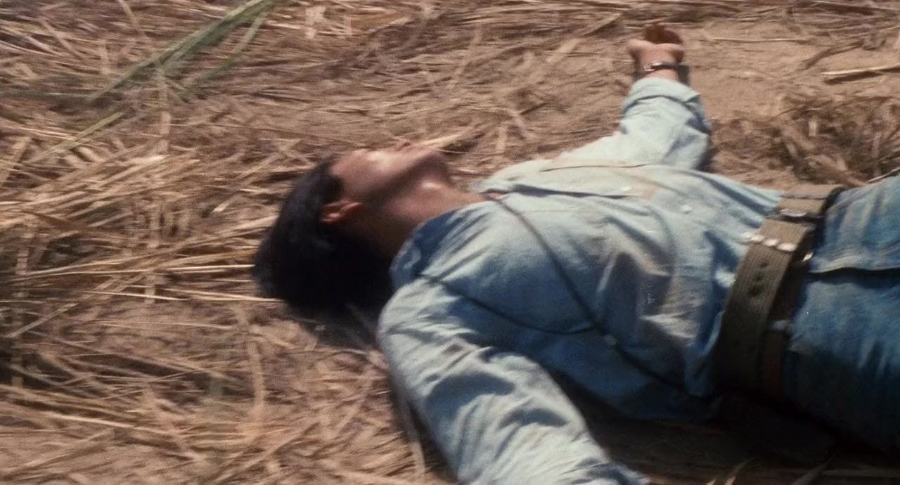 Qi yuan screenshot 3