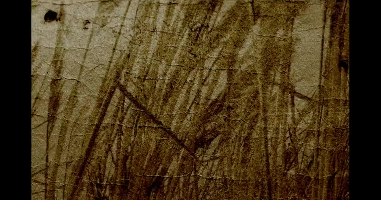 Witch Trilogy 15+ screenshot 3