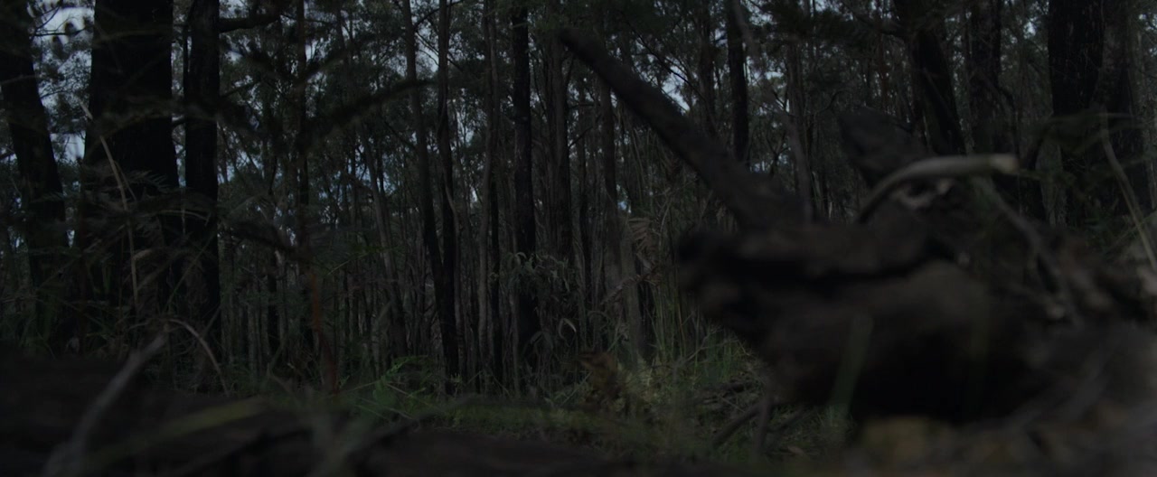 The Unlit screenshot 2