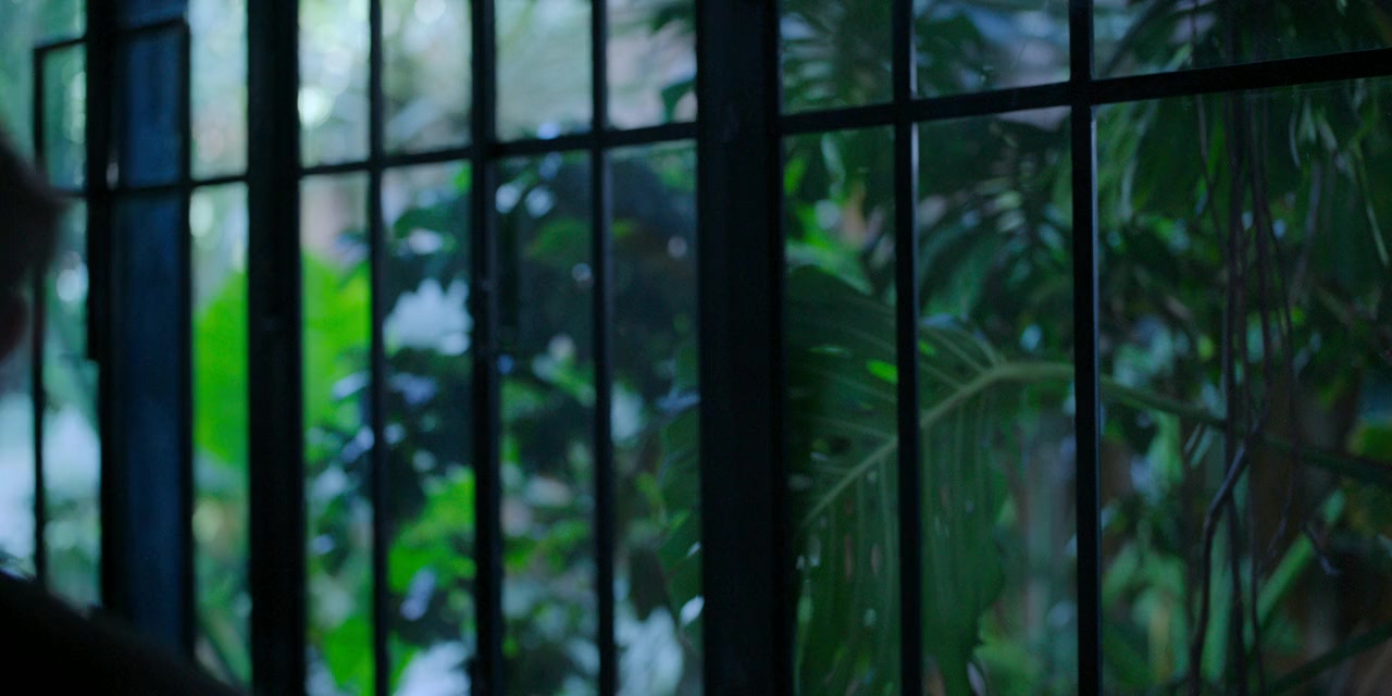 Contigo en el futuro screenshot 1