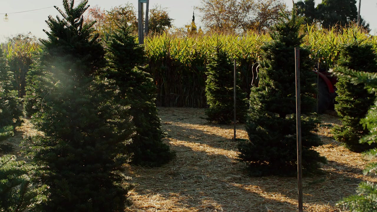 With Love, Meghan: Holiday Celebration screenshot 1