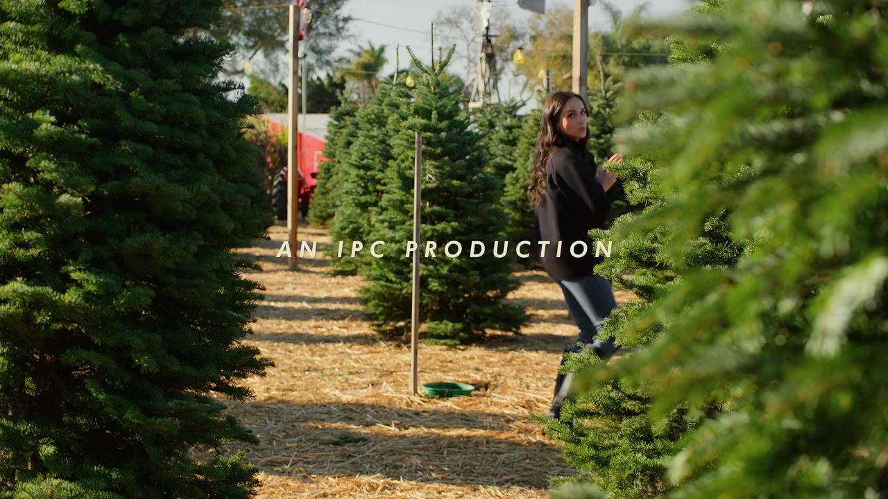 With Love, Meghan: Holiday Celebration screenshot 2