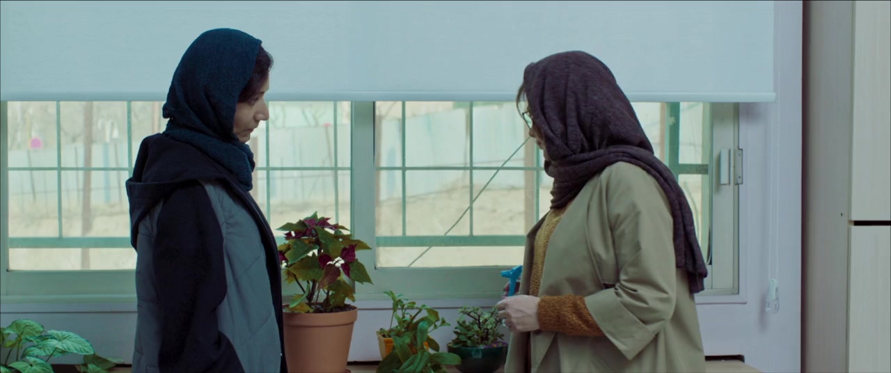 Bi roya screenshot 3
