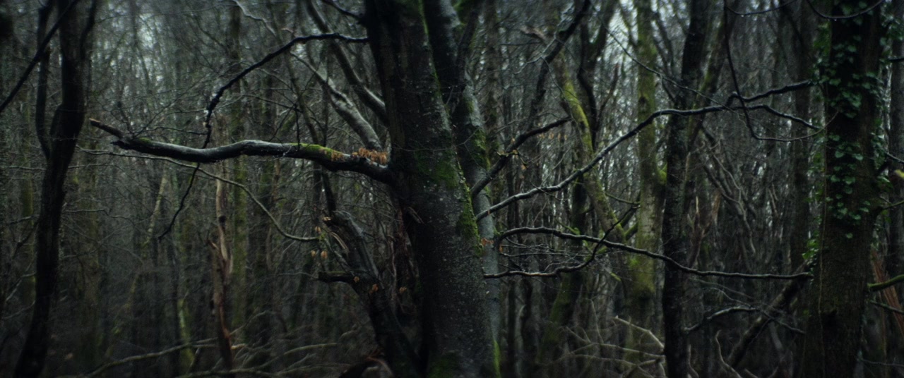 Without Name screenshot 2