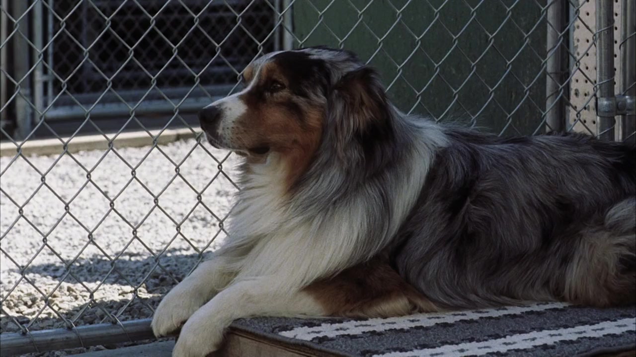 Within These Walls screenshot 1
