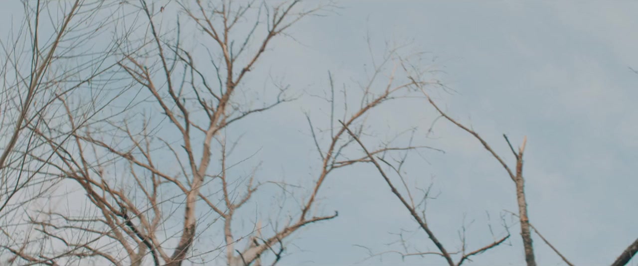 Within These Walls screenshot 3