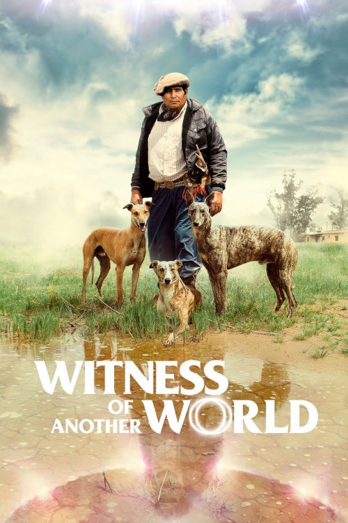 Testigo de otro mundo (2018) poster