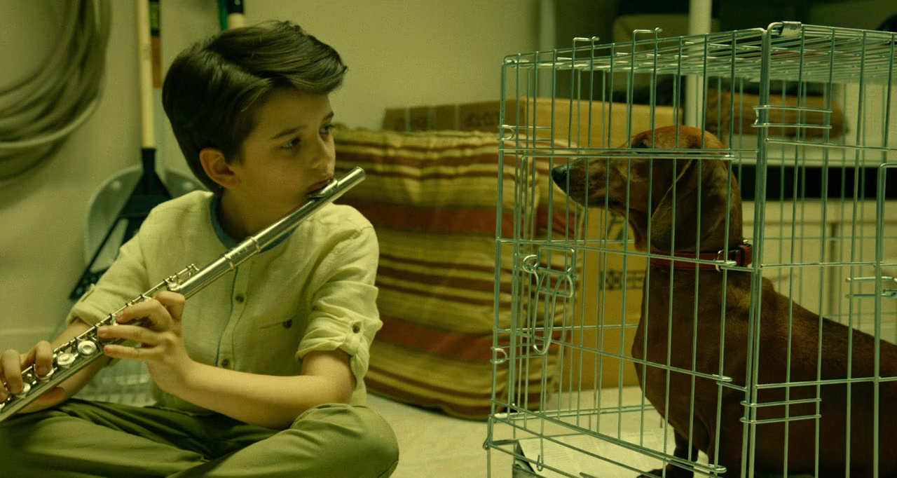 Wiener-Dog screenshot 3