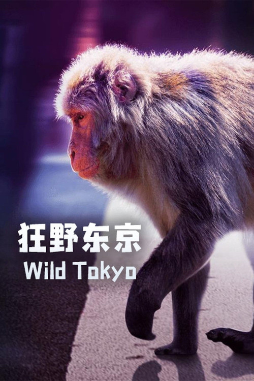 Wild Tokyo (2020) poster