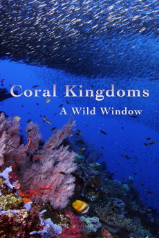 Wild Window: Coral Kingdoms (2016) poster