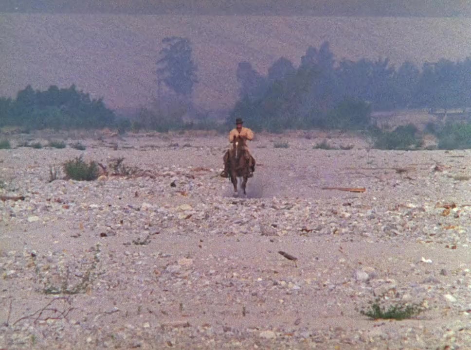 Wild Women screenshot 2