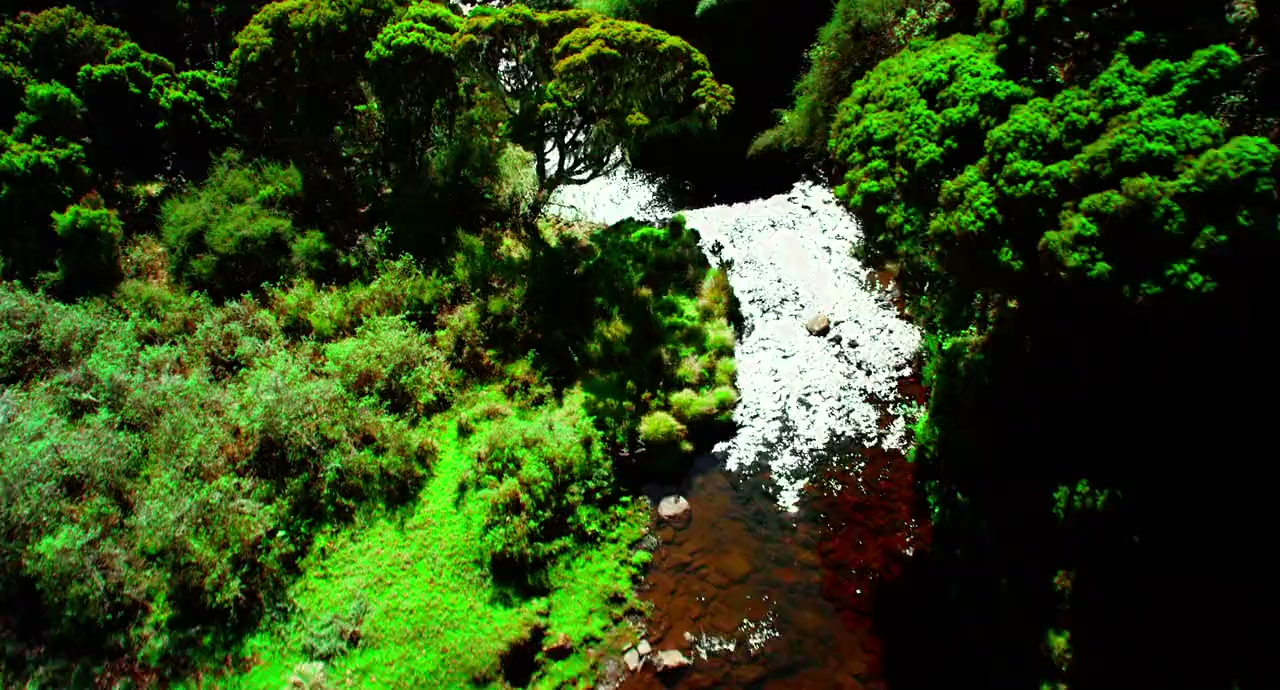 Wild Africa screenshot 1
